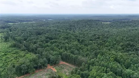 0 County Rd 68, Berry, AL 35546 photo 6