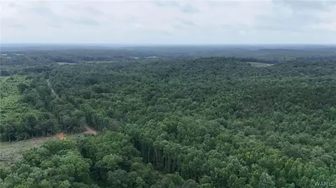 0 County Rd 68, Berry, AL 35546 photo 5