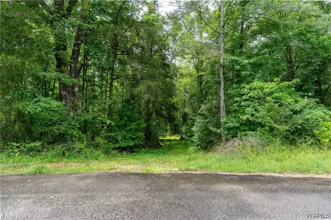 0 County Rd 68, Berry, AL 35546 photo 17