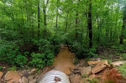 0 County Rd 68, Berry, AL 35546 photo 20