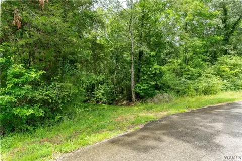 0 County Rd 68, Berry, AL 35546 photo 15
