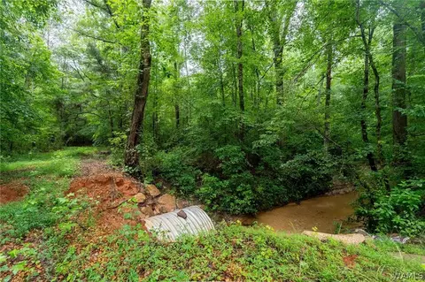 0 County Rd 68, Berry, AL 35546 photo 19
