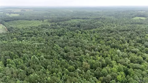 0 County Rd 68, Berry, AL 35546 photo 9