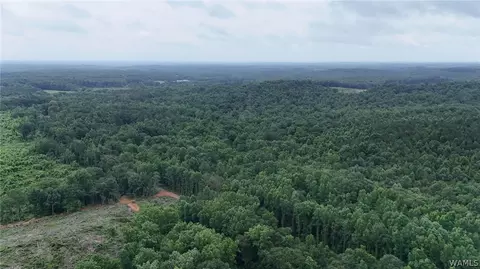 0 County Rd 68, Berry, AL 35546 photo 7