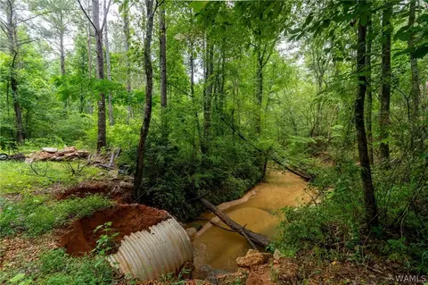 0 County Rd 68, Berry, AL 35546 photo 21