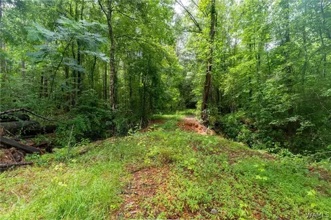 0 County Rd 68, Berry, AL 35546 photo 18