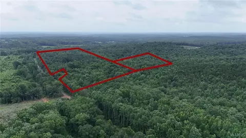 0 County Rd 68, Berry, AL 35546