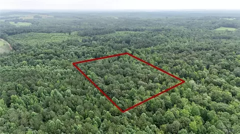 0 County Rd 68, Berry, AL 35546 photo 3
