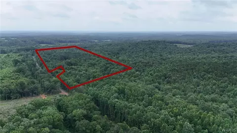 0 County Rd 68, Berry, AL 35546 photo 2