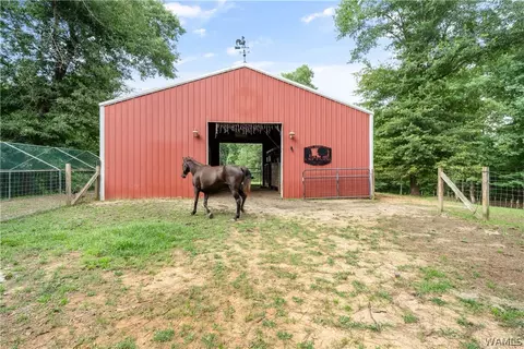 17949 Romulus Rd, Ralph, AL 35480 photo 60