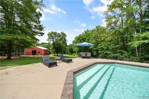 17949 Romulus Rd, Ralph, AL 35480 photo 50