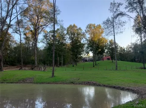 17949 Romulus Rd, Ralph, AL 35480 photo 6