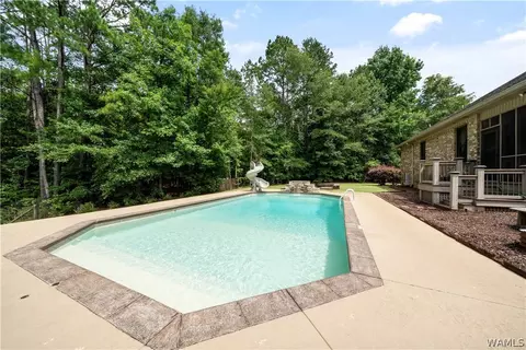 17949 Romulus Rd, Ralph, AL 35480 photo 51
