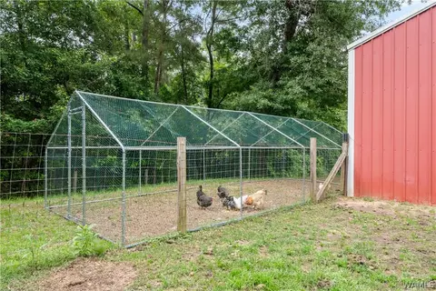 17949 Romulus Rd, Ralph, AL 35480 photo 61