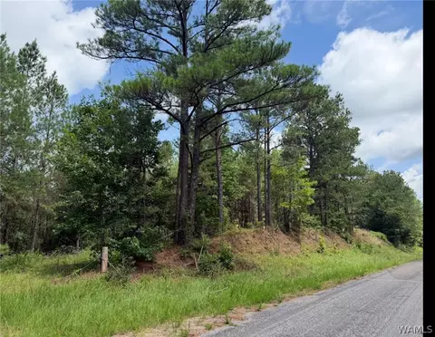 0 County Road 100, Fayette, AL 35555
