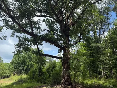 2 Samson Clements Loop Rd, Berry, AL 35546