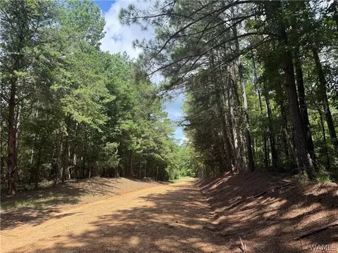 3 Samson Clements Loop Rd, Berry, AL 35546