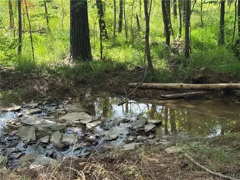 4 Samson Clements Loop Rd, Berry, AL 35546
