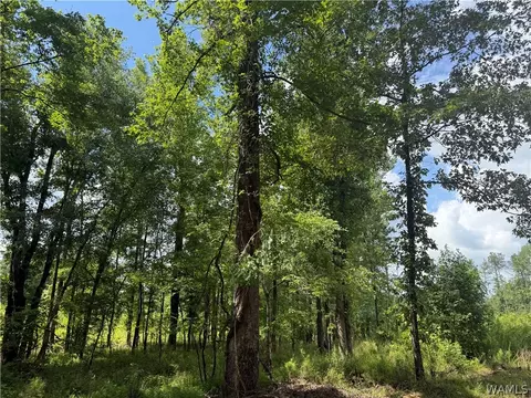 5 Samson Clements Loop Rd, Berry, AL 35546