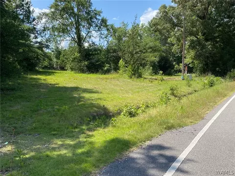 21876 Gorgas Rd, Berry, AL 35546 photo 8