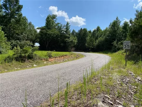 21876 Gorgas Rd, Berry, AL 35546 photo 3
