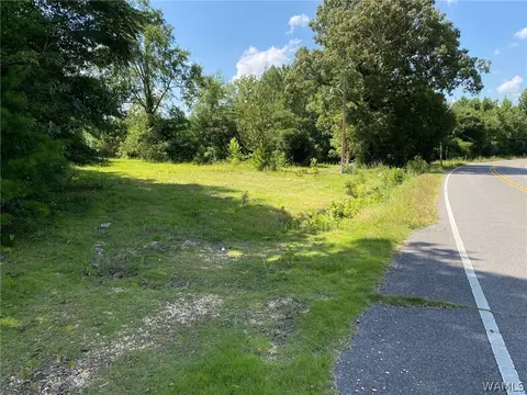 21876 Gorgas Rd, Berry, AL 35546 photo 7