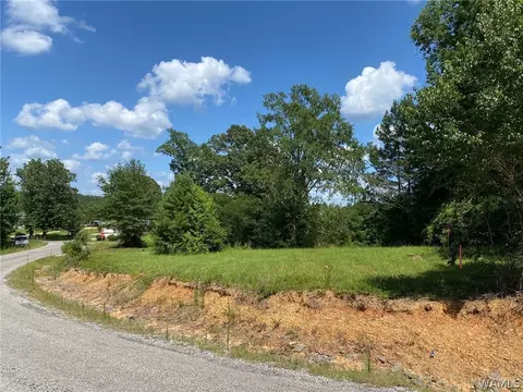 21876 Gorgas Rd, Berry, AL 35546 photo 4