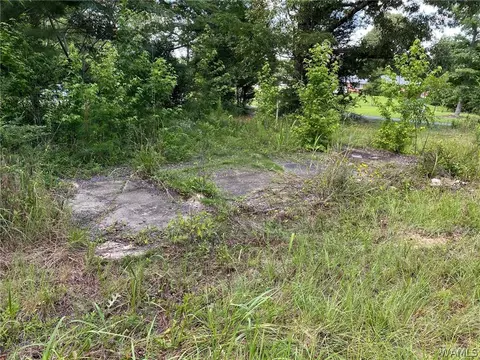 21876 Gorgas Rd, Berry, AL 35546 photo 10