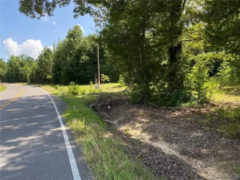 21876 Gorgas Rd, Berry, AL 35546 photo 6