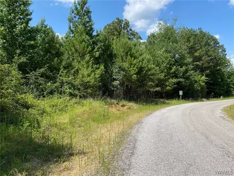 21876 Gorgas Rd, Berry, AL 35546 photo 5