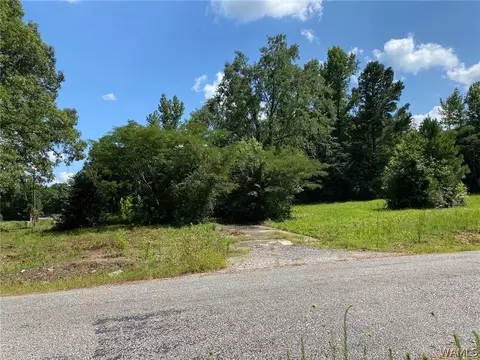 21876 Gorgas Rd, Berry, AL 35546 photo 2