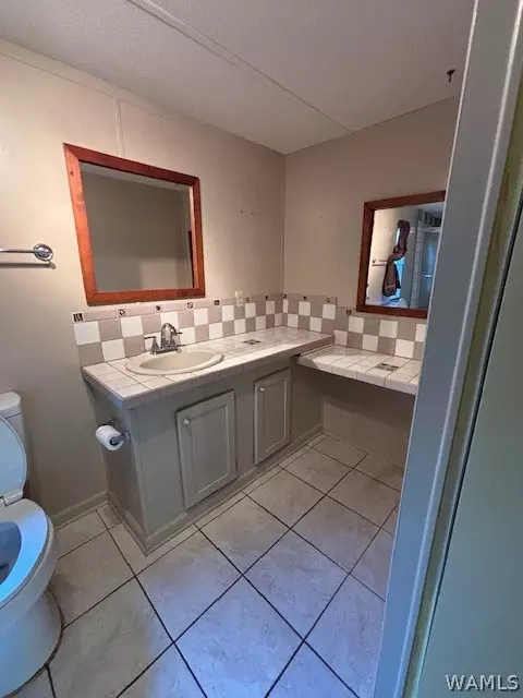 Bath - 13014 Longview Est, Berry, AL 35546 photo 3 of 4