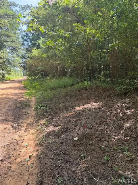 0 Otter Rd, Greensboro, AL 35441
