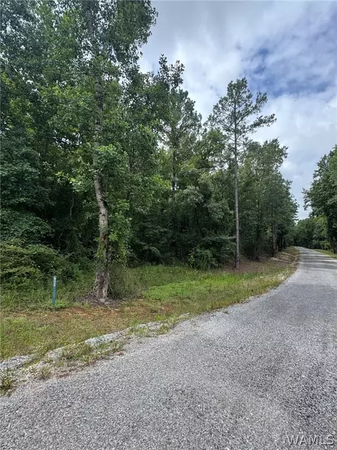0 Old Marion Rd, Duncanville, AL 35456
