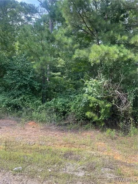 0 N River Ln, Northport, AL 35475