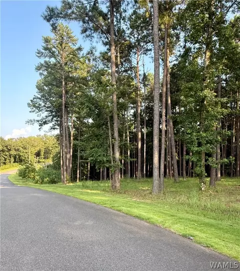 14220 Watercolor Dr, Northport, AL 35475