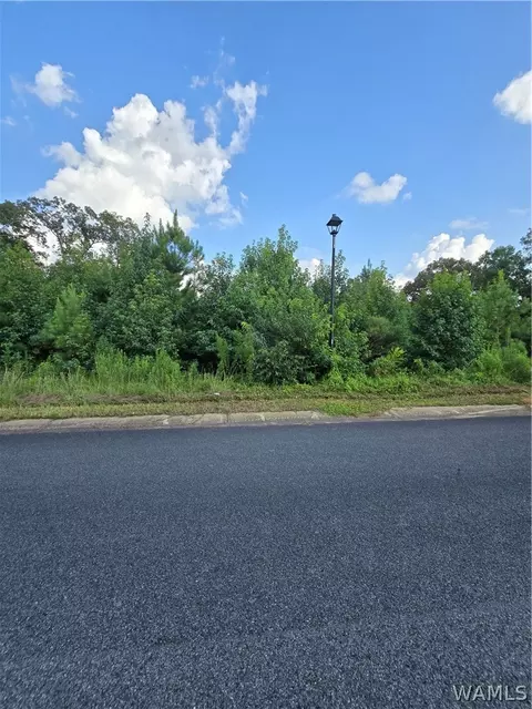 11696 Elam Dr, Northport, AL 35475