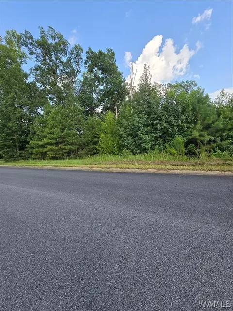 11700 Elam Dr, Northport, AL 35475