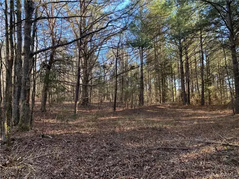 000 Hwy 43 N, Northport, AL 35475