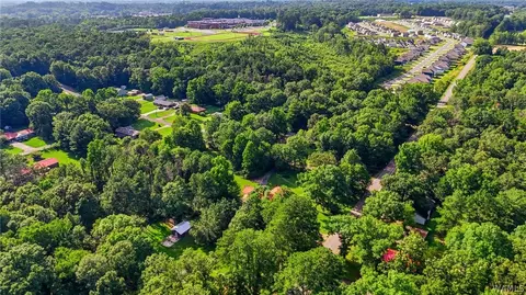View/Area - 2302 20th Ave E, Jasper, AL 35501 photo 3 of 5