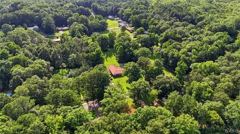 View/Area - 2302 20th Ave E, Jasper, AL 35501 photo 4 of 5