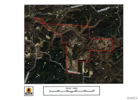 10959 Evanstown Rd, Berry, AL 35546