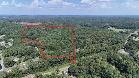 0 Clements Rd, Cottondale, AL 35453