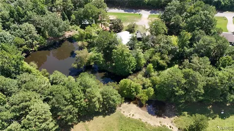 View/Area - 11597 Sipsey Valley Rd S, Buhl, AL 35446 photo 3 of 4