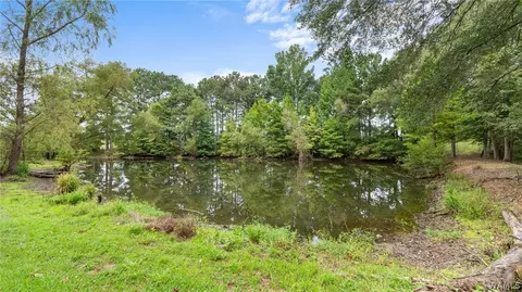 View/Area - 11597 Sipsey Valley Rd S, Buhl, AL 35446 photo 2 of 4