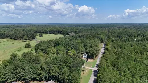 Other - 11597 Sipsey Valley Rd S, Buhl, AL 35446 photo 7 of 10