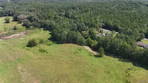 Other - 11597 Sipsey Valley Rd S, Buhl, AL 35446 photo 8 of 10