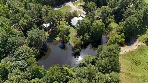View/Area - 11597 Sipsey Valley Rd S, Buhl, AL 35446 photo 4 of 4