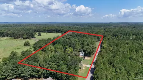 Other - 11597 Sipsey Valley Rd S, Buhl, AL 35446 photo 2 of 10