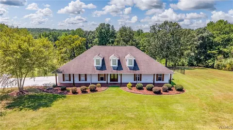 11579- Pockett Rd, Northport, AL 35475